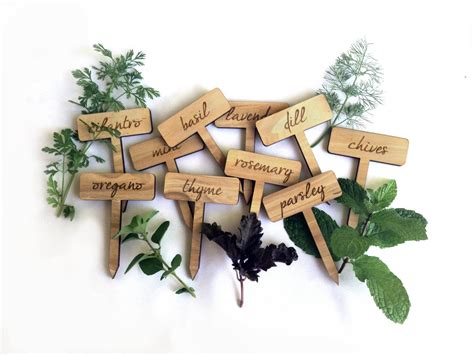 Herb Garden Plant Markers Wood Engraved Tags Set By Milenine