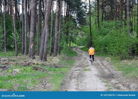 Bicycle Walks Along Forest Roads The Concept Of Self Isolation In The