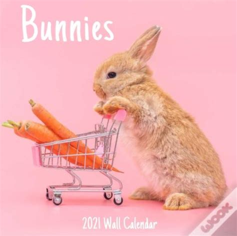 Bunnies 2021 Wall Calendar De 2021 2022 Wall Calendar 2021 2022 Livro