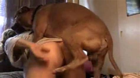 Amateur Dog Sex Bestiality Sex With Dog Zoo Porno
