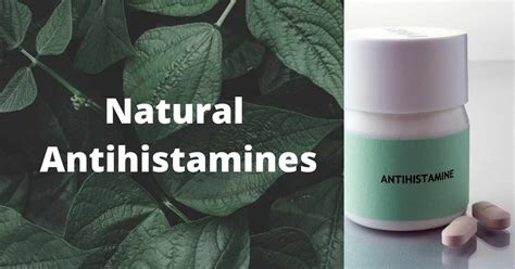 19 Natural Antihistamines Say Goodbye To Your Allergies Doctoronhealth