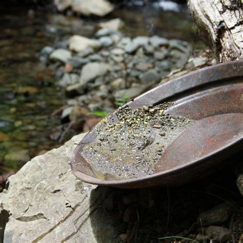 The Best Gold Panning In America Usa Today