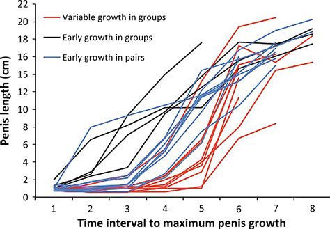 Percentage Increase Penis Size