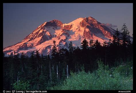 Picturephoto Mt Rainier At Sunset From The West Side Mount Rainier