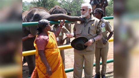 Pm Modi Meets The Elephant Whisperers Bomman Bellie At Karnatakas