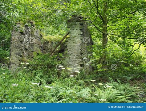 Ruined Ancient Stone House With Collapsed Walls Overgrown With Plants