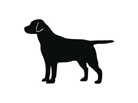 Labrador Head Silhouette At Getdrawings Free Download