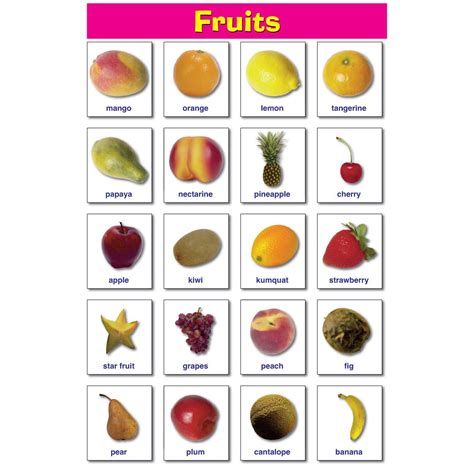 Fruits Educational Laminated Chart