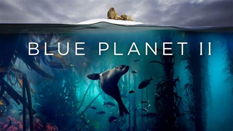 Bbc One Blue Planet Ii 1 One Ocean