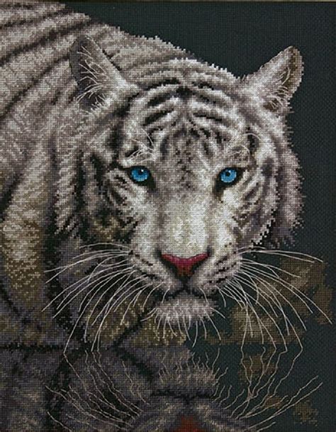 Dimensions White Tiger Counted Cross Stitch Kit Count Black Aida