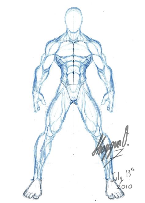 Muscle Body Drawing At GetDrawings Free Download