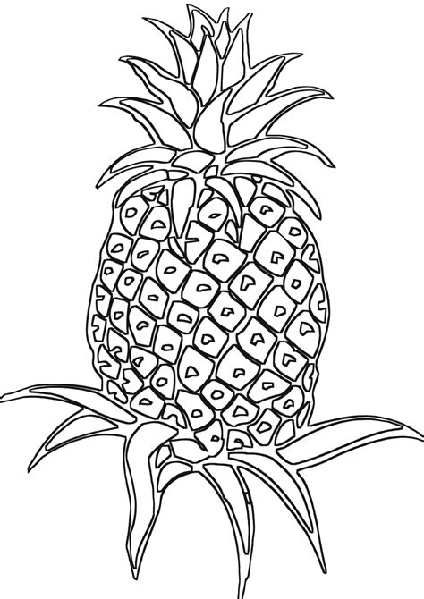pineapple coloring pages coloring pages    print