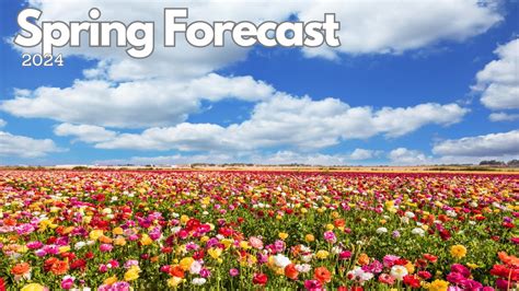 Spring Forecast 2024