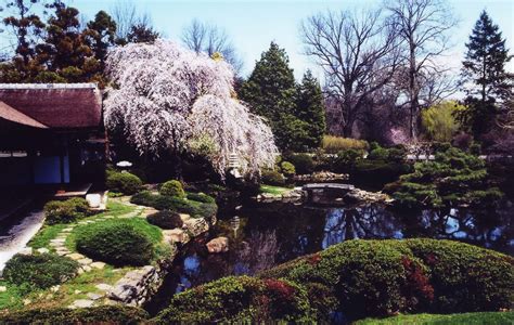 Shofuso Japanese House And Garden All You Need Infos