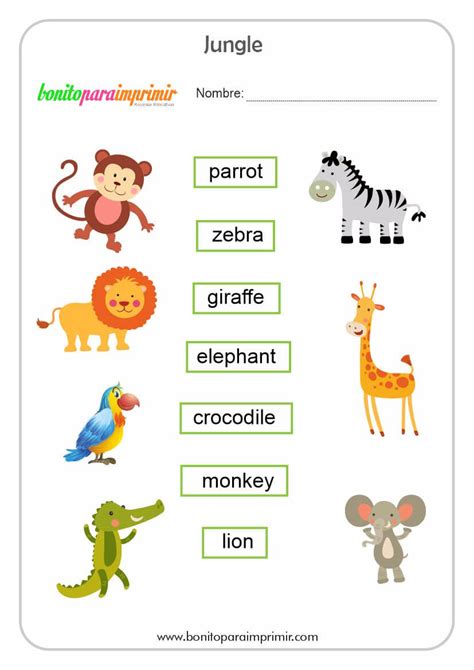 Actividades Para Aprender Los Animales En Ingles Flashcards De