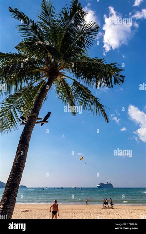 Tree Festive Beach Hi Res Stock Photography And Images Alamy