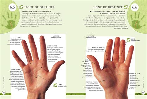 Savoir Lire Les Lignes De La Main Le Comment Faire