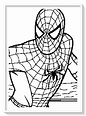 spiderman para pintar colorear - Dibujo imágenes