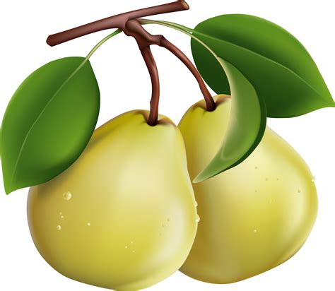 Pear Png Transparente Png All