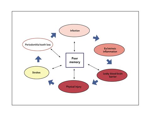 Managing Oral Healths Implications For From Mild Cognitive Impairment