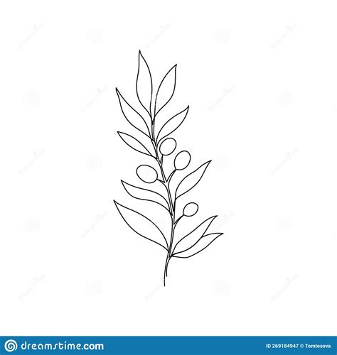 Line Olive Leaf Branch Art One Continuous Line Art Decorative Olive