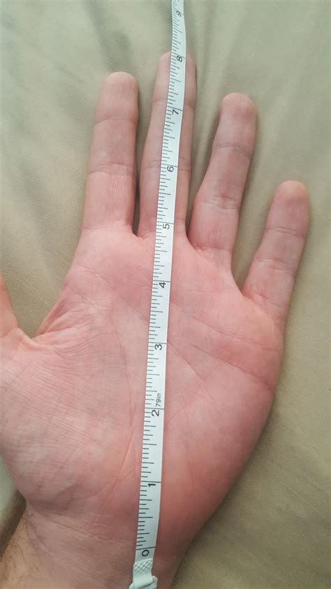 Height And Hand Size Tall