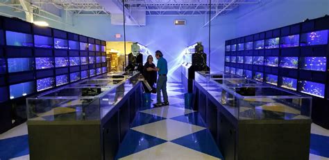 Sumps Custom Aquariums Retail Displays