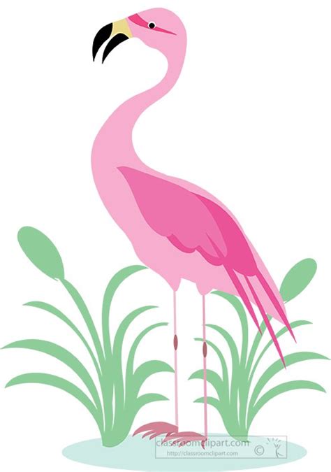 Bird Clipart Clipart Pink Flamingo Bird Standing Near Plants Clipart