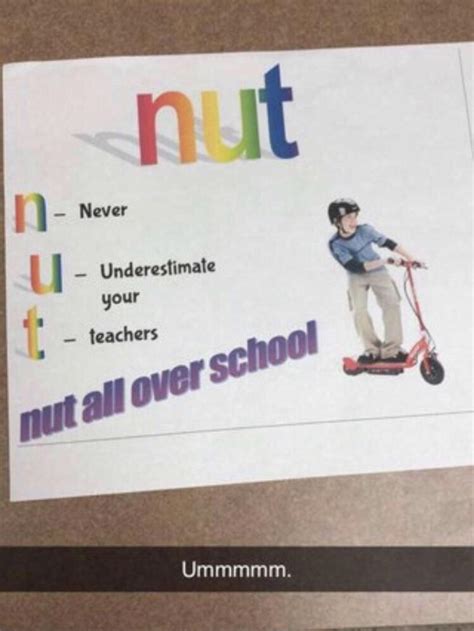 Nut All Over School Atbge