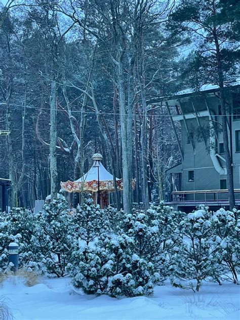 A Carousel In The Middle Of A Snowy Forest With Lots Of Trees And