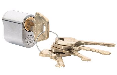 Scandinavian Oval Lock Cylinder Assa Abloy 1301 5 Keys 6 Pin Dorma Ruko