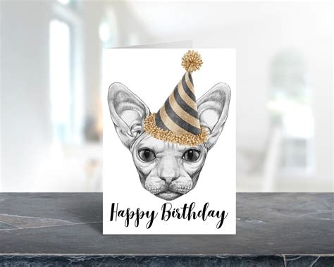 10 Pack Cool Sphynx Party Cat Birthday Greeting Cards And Etsy