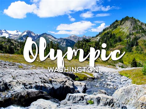 One Day In Olympic National Park Guide Top Things To Do