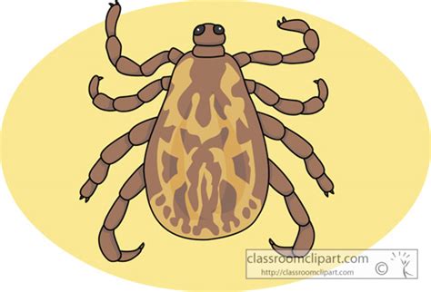 Insect Clipart Clipart Ticks728 Classroom Clipart