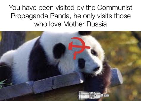 You See Comrade For The Mother Land Ryouseecomrade