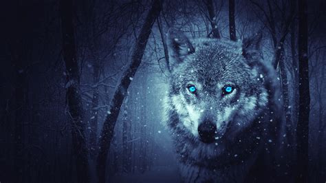 Wolf Predator Photoshop Art 4k Hd Wallpapers Hd