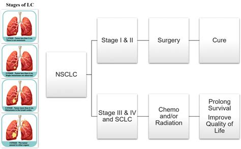 Diagnostic Lung Cancer Proteomics Dba Targetdx Laboratory