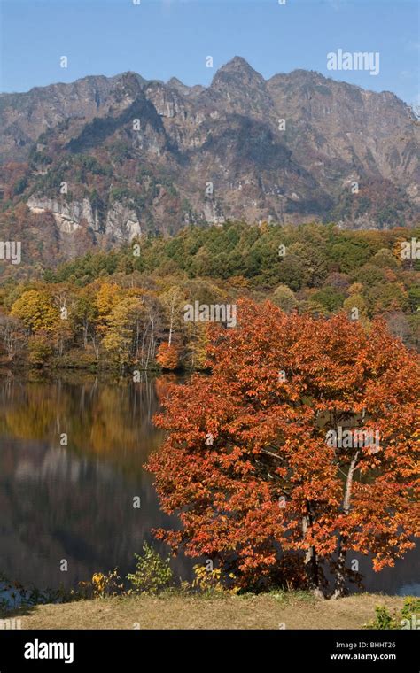 Kagami Ike Mirror Lake In Autumn With Togakushi Mountain In The