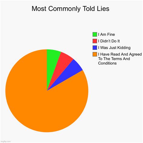 Most Common Lies Imgflip