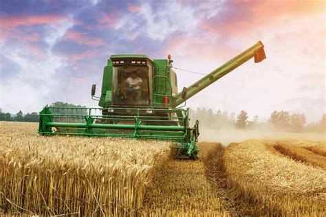 Rain Holds Off As Kansas Wheat Harvest Advances 2018 06 14 Food