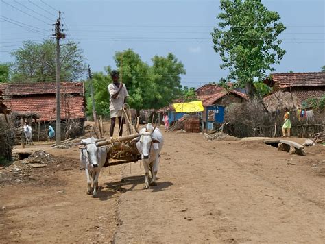 Alizas Adventures In India Bodli The Rural Village In Pictures