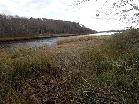 Peters Creek Reserve Dartmouth Natural Resources Trust Dnrt