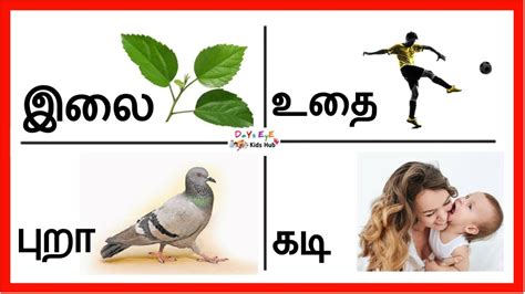 இரண்டு எழுத்து சொற்கள் Learn Two Letter Words For Kids Tamil