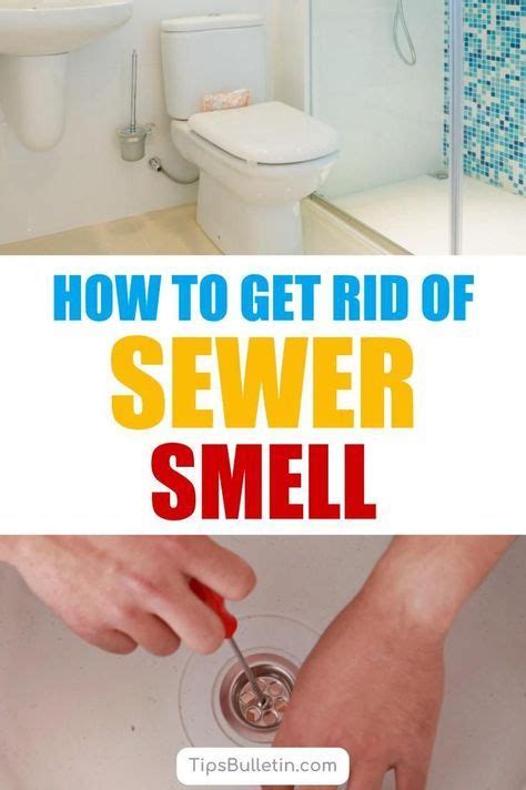 Clean bathroom drains with bleach to prevent odors. How To Get Rid Of Sewer Smell In Your House - From ...