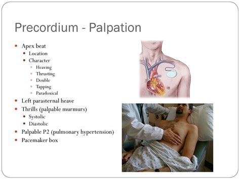 Cardiovascular Examination Introduction Ppt Download