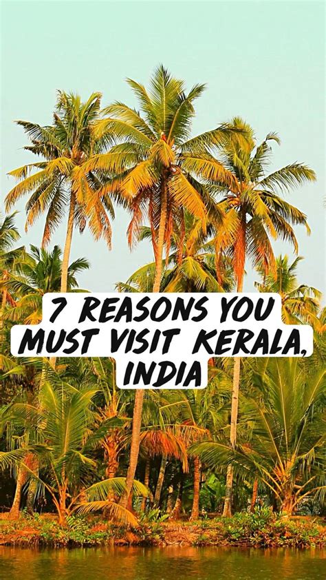 7 Reasons You Must Visit Kerala India India Photography Kerala India