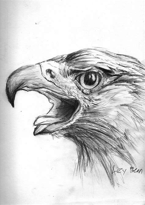 Drawing sketch style illustration of a mexican eagle, golden eagle or northern crested caracara fighting a rattlesnake, viper, snake or serpent in black and white on isolated background. Mexican Golden Eagle by Lupus-Lily on DeviantArt
