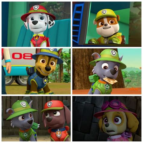 Pin By Prabhamayee Una On Collage Paw Patrol Pups Paw Patrol Party Paw
