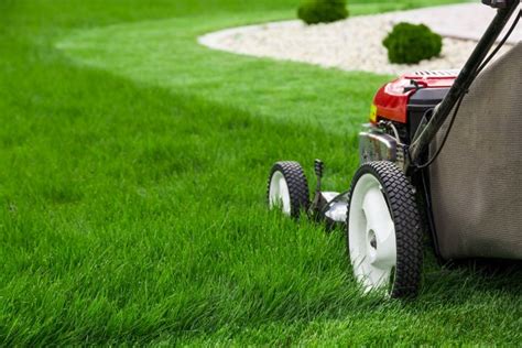 Absolute Lawn Perfection Lawn Care St Charles Absolute Lawn Perfection