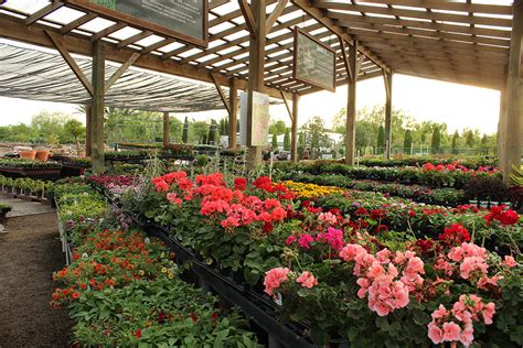 Seasonal Color Shades Of Texas Nursery And Landscaping The Woodlands